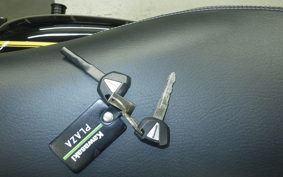 KAWASAKI W800 CAFE 2022 EJ800E