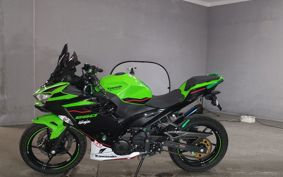 KAWASAKI NINJA 250 EX250P