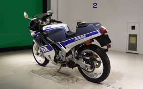 YAMAHA FZR250 2010 2KR