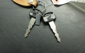 HONDA ｸﾛｽｶﾌﾞ50 AA06