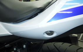 SUZUKI GSX250 R