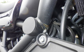 KAWASAKI Z900RS CAFE 2022 ZR900K