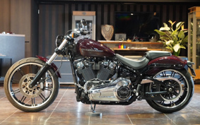 HARLEY FXBRS 2021 YHK