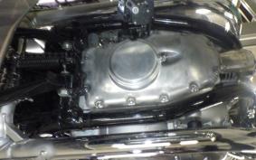 KAWASAKI W800 2024 EJ800E