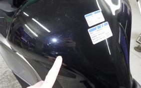 KAWASAKI NINJA 1000 SX 2025 ZXT02K