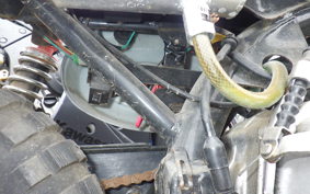 OTHER UNREGISTERED MODEL by BDS125