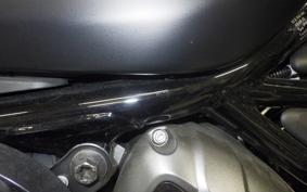 HARLEY RH975S 2024