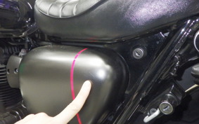 KAWASAKI W800 STREET 2022 EJ800E