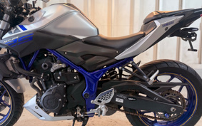 YAMAHA MT-25 RG10J