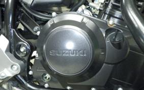 SUZUKI V-STROM 250