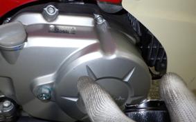 HONDA C110 SUPER CUB JA44