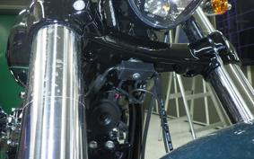 HARLEY FXBR1920 2026