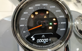 HARLEY FLFB 2026 YF9