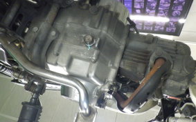 HONDA GORILLA 2024 AB27