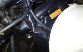 KAWASAKI ESTRELLA RS 2021 BJ250A