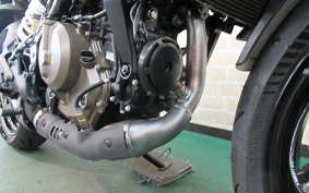 HUSQVARNA SVARTPILEN4 2024