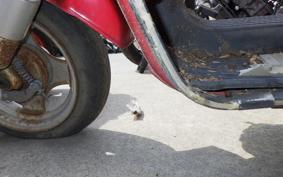 SUZUKI GEMMA80 CC11A