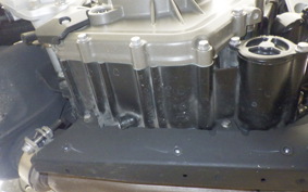 HUSQVARNA SVARTPILEN 401 2021