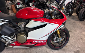 DUCATI 1199PANIGA-RES 2013