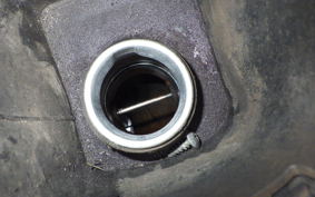 YAMAHA MAXAM 250 SG17J