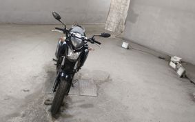 HONDA CB250 MC43