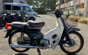 HONDA SUPER CUB50 C50