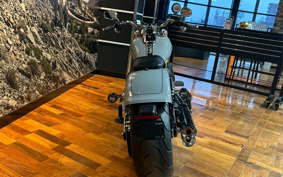 HARLEY  HARLEY FLFBS 2025 YGK