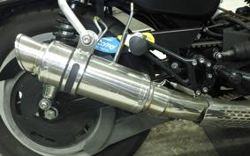 HARLEY XL883R 2006