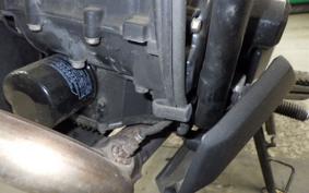 KAWASAKI VERSYS X250Aﾂｱﾗｰ LE250D