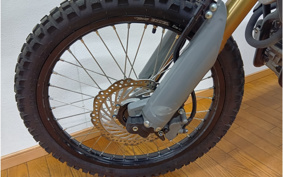 TRIUMPH  TRIUMPH  TIGER 900 2024 TRC81D