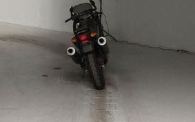 KAWASAKI ZZR250 EX250H