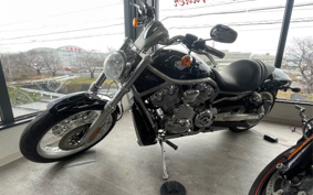 HARLEY VRSCAW 2008 HKH