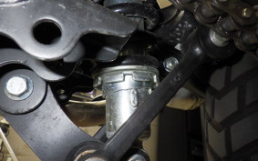 OTHER +ENFIELD ｽｸﾗﾑ411 2022