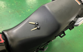 SUZUKI STROM 250ABS DS11A