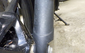 KAWASAKI Z250 Gen.2 2021 EX250P