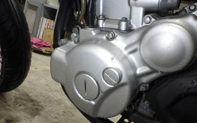 YAMAHA WR250X 1994 DG15J