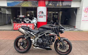 TRIUMPH TRIUMPH SPEED TRIPLE RS 2019 TPN275