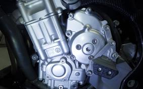 YAMAHA FZ1 FAZER 2009 RN21J