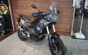 YAMAHA TENERE 700 2020 DM09J
