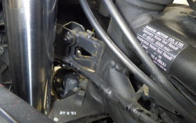 YAMAHA YZF-R25 2007 RG10J