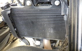 HUSQVARNA SVARTPILEN 250 2010
