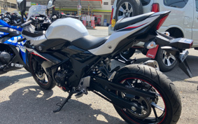 SUZUKI GSX250 R DN11A