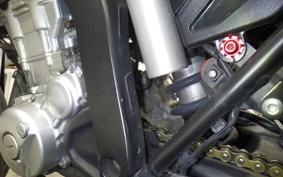 YAMAHA WR250X 2024