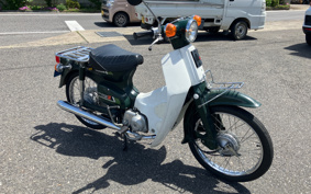 HONDA SUPER CUB50 C50