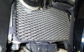 SUZUKI GSX250R 2025