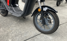 OTHER XEAM UQi SPORT