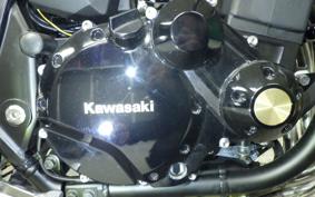 KAWASAKI ZRX1200 D 2017 ZRT20D