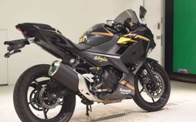 KAWASAKI NINJA 250 2 2018 EX250Y
