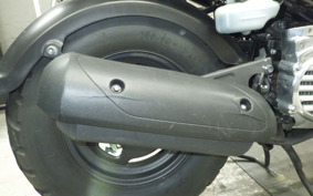 HONDA ZOOMER 2002 AF58