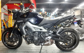 YAMAHA MT-09 2014 RN34J